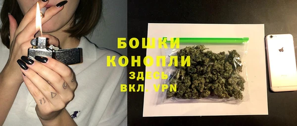 соль ск Переславль-Залесский