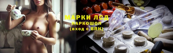 хмурый Арсеньев
