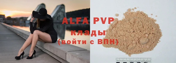 хмурый Арсеньев