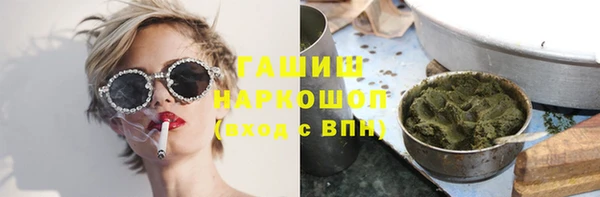 хмурый Арсеньев