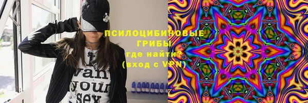 хмурый Арсеньев