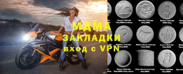 хмурый Арсеньев