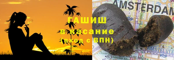 хмурый Арсеньев