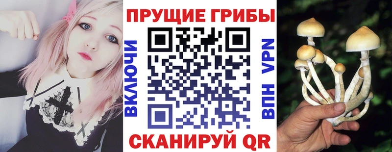 маркетплейс формула  Междуреченск  Галлюциногенные грибы мухоморы 